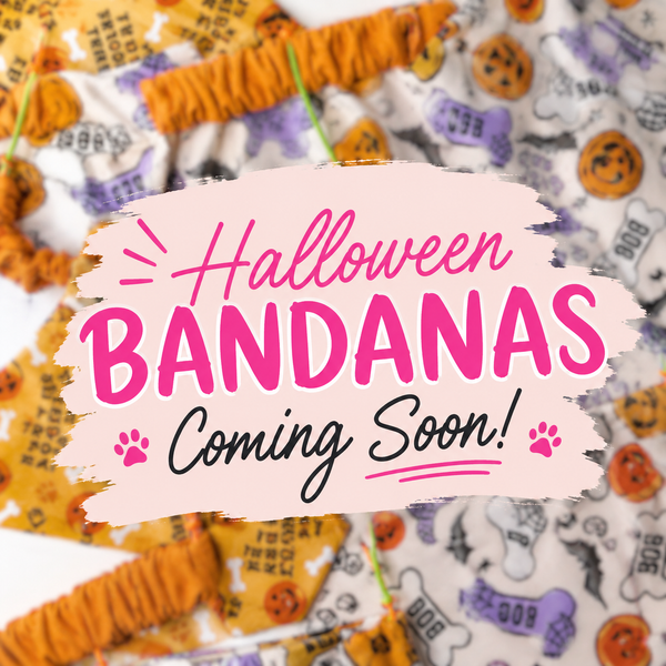 Halloween Pet Bandanas