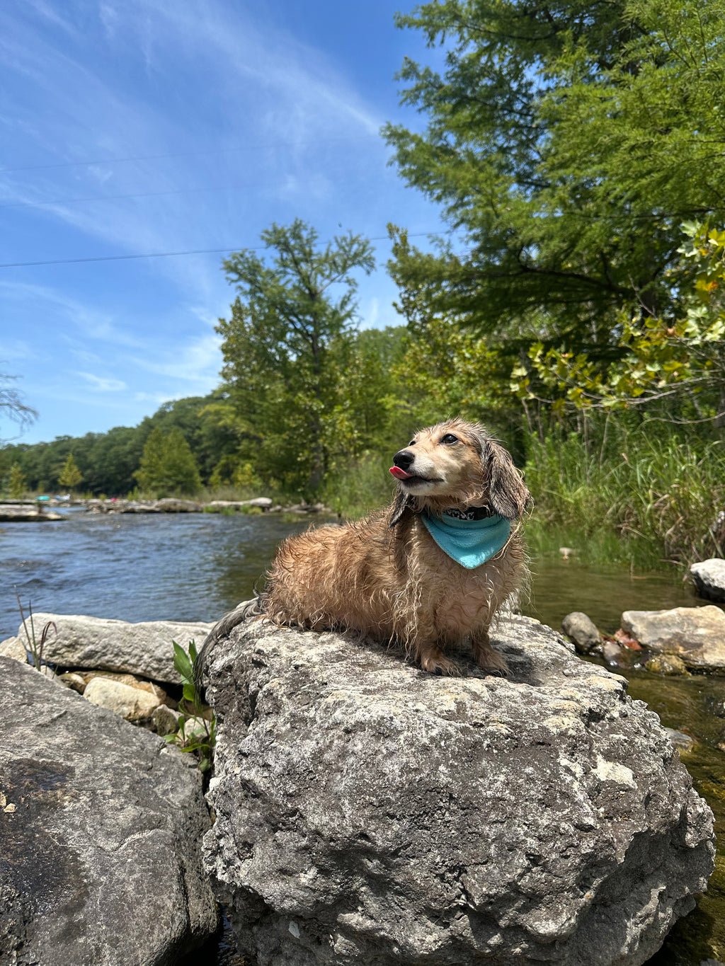 Extra Large Blue Towel Bandana