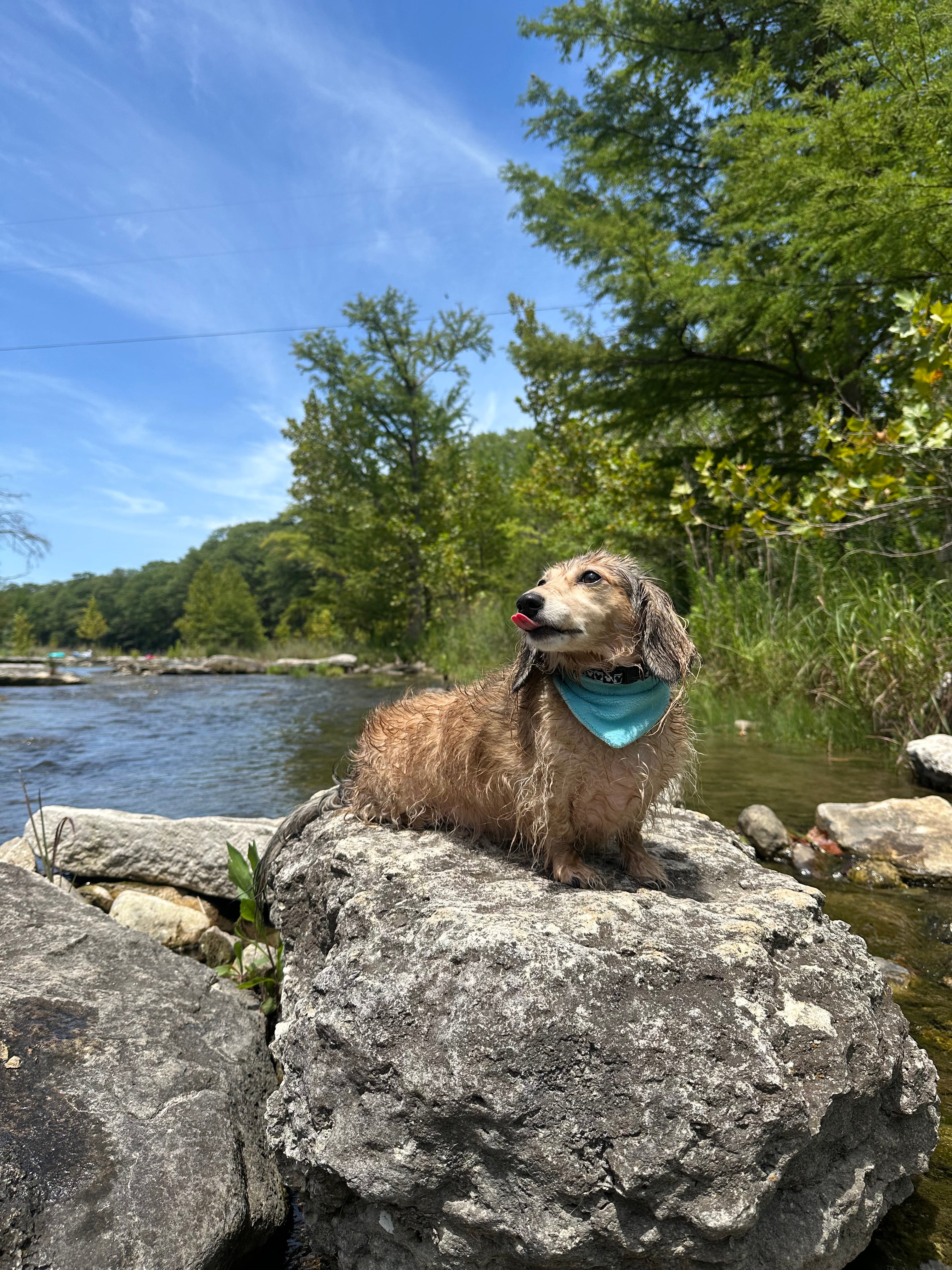 Extra Large Blue Towel Bandana