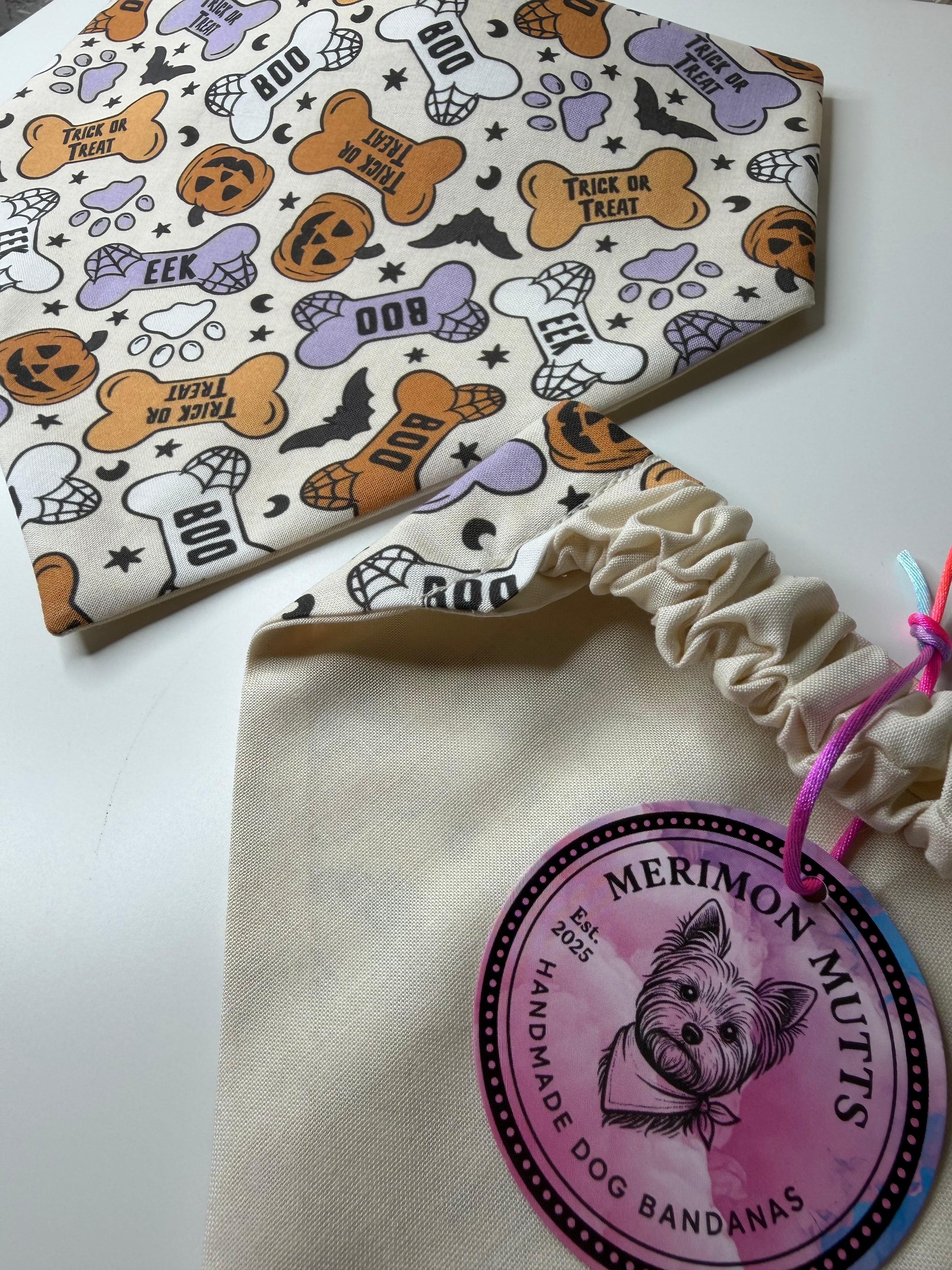 Trick Or Treat Pet Bandana