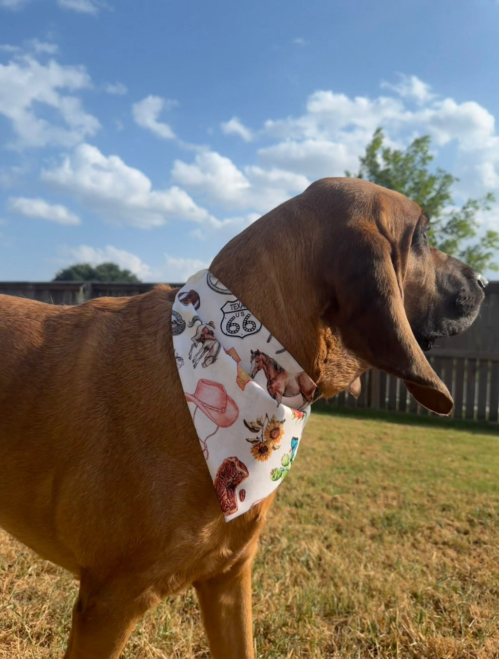 Extra Large Everything Texas Bandana