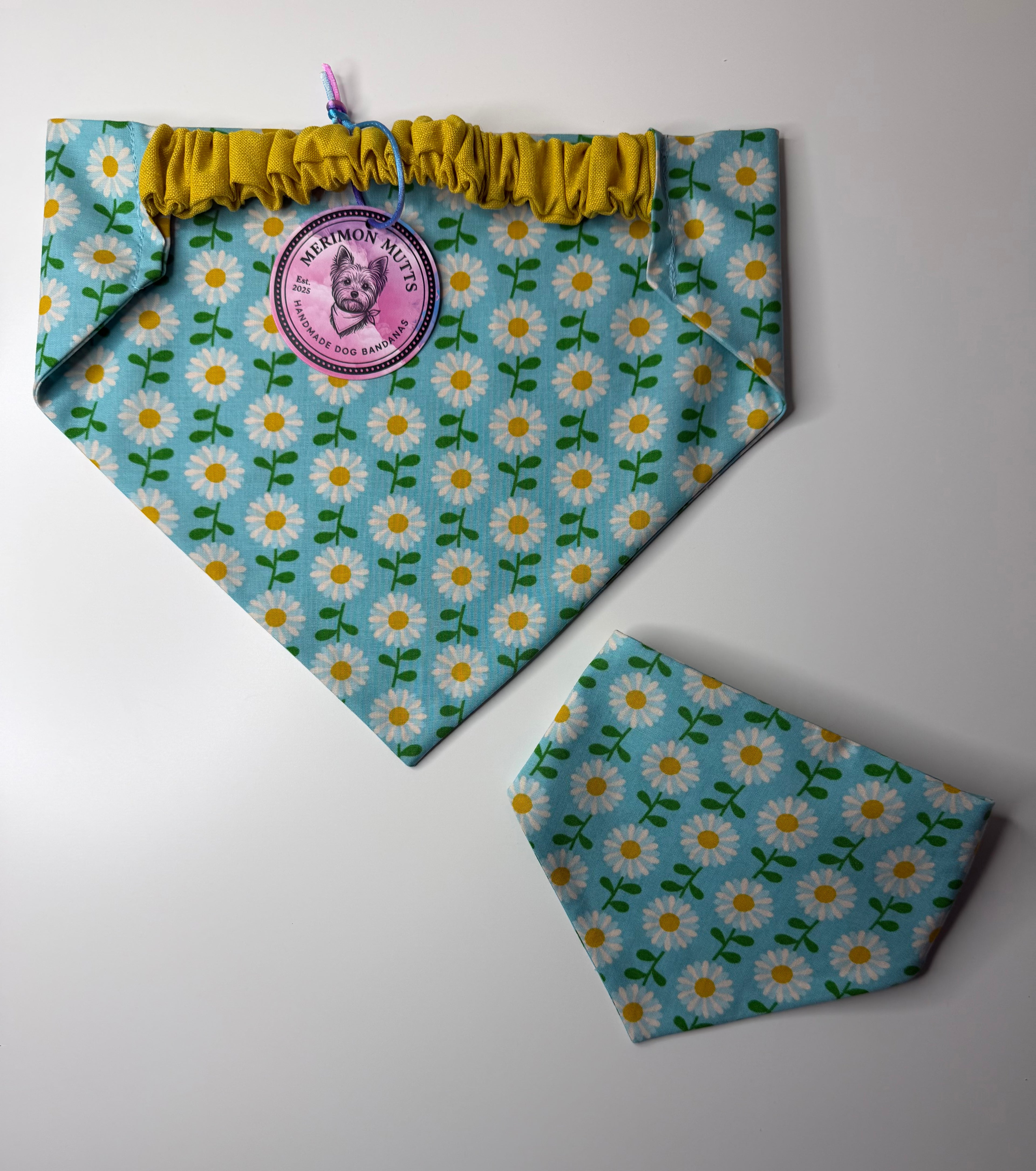 Large Blue Daisies Bandana