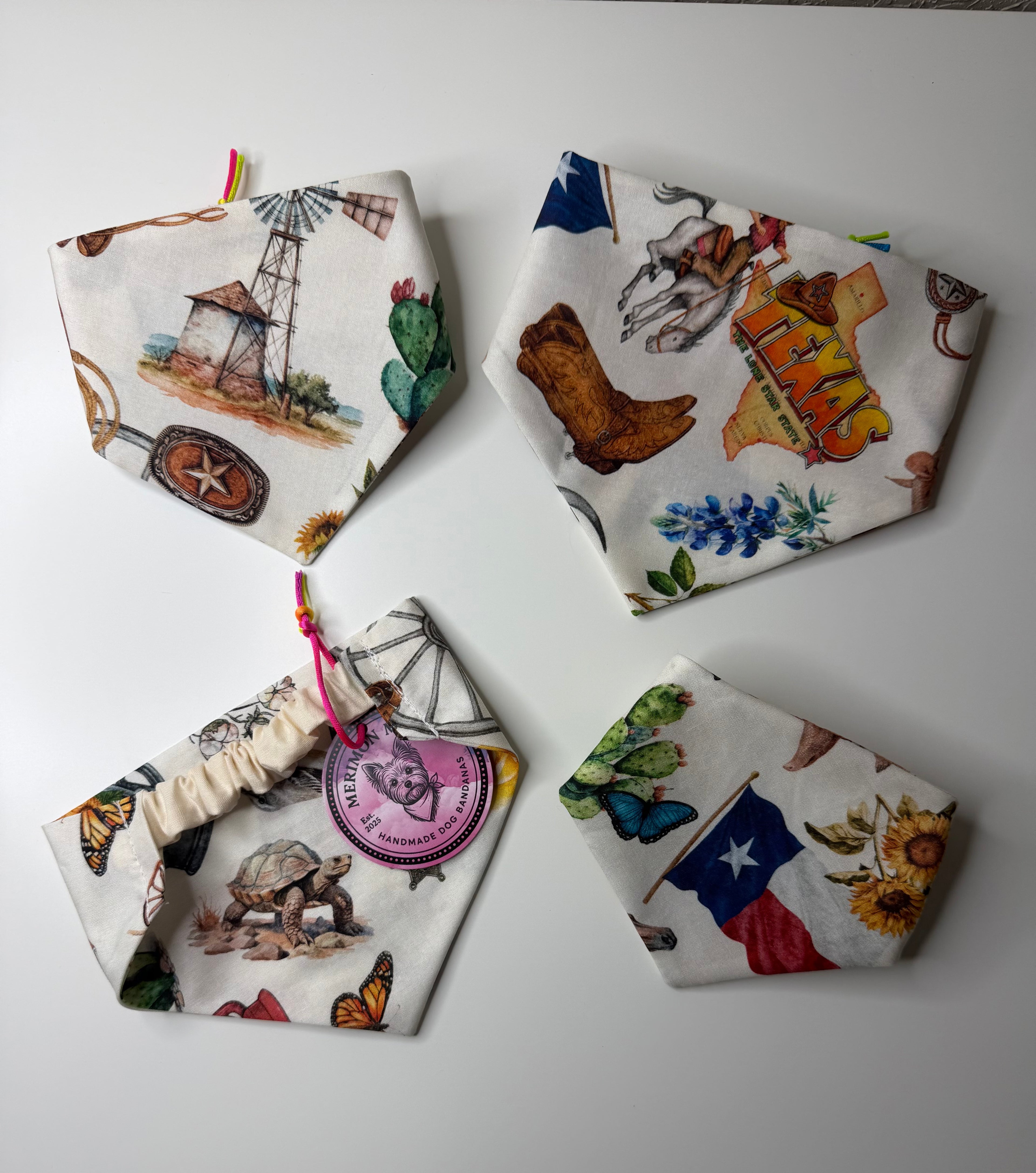Small/Medium Everything Texas Bandana