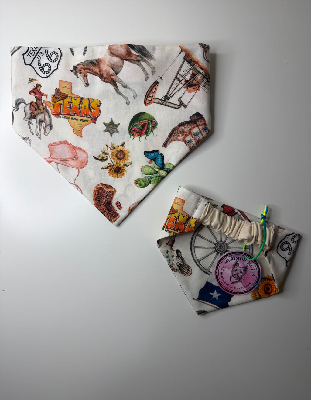Extra Large Everything Texas Bandana