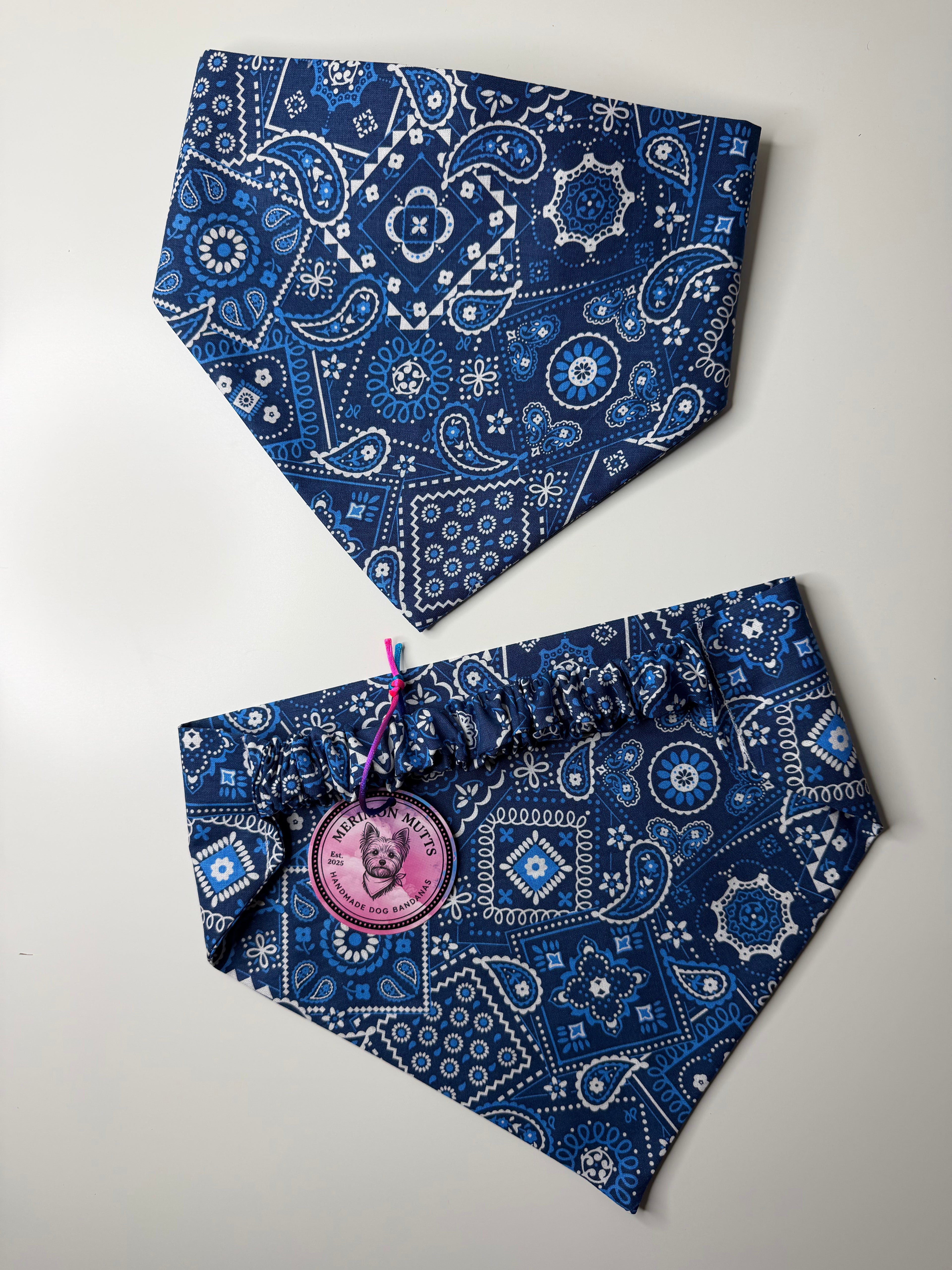 Extra Large Blue Classic Bandana Print