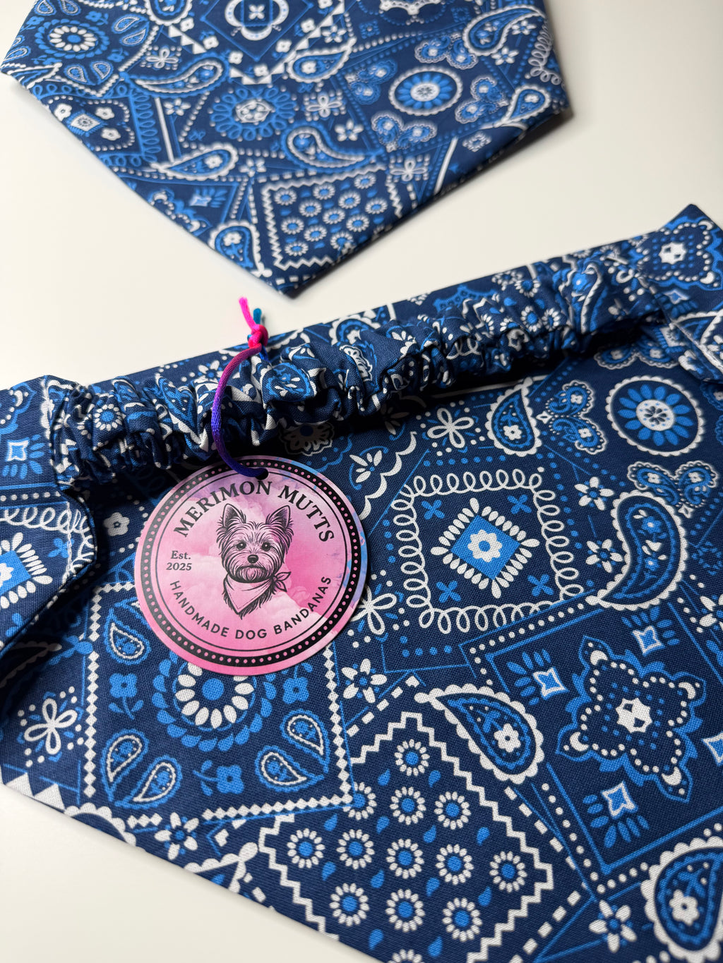 Extra Large Blue Classic Bandana Print
