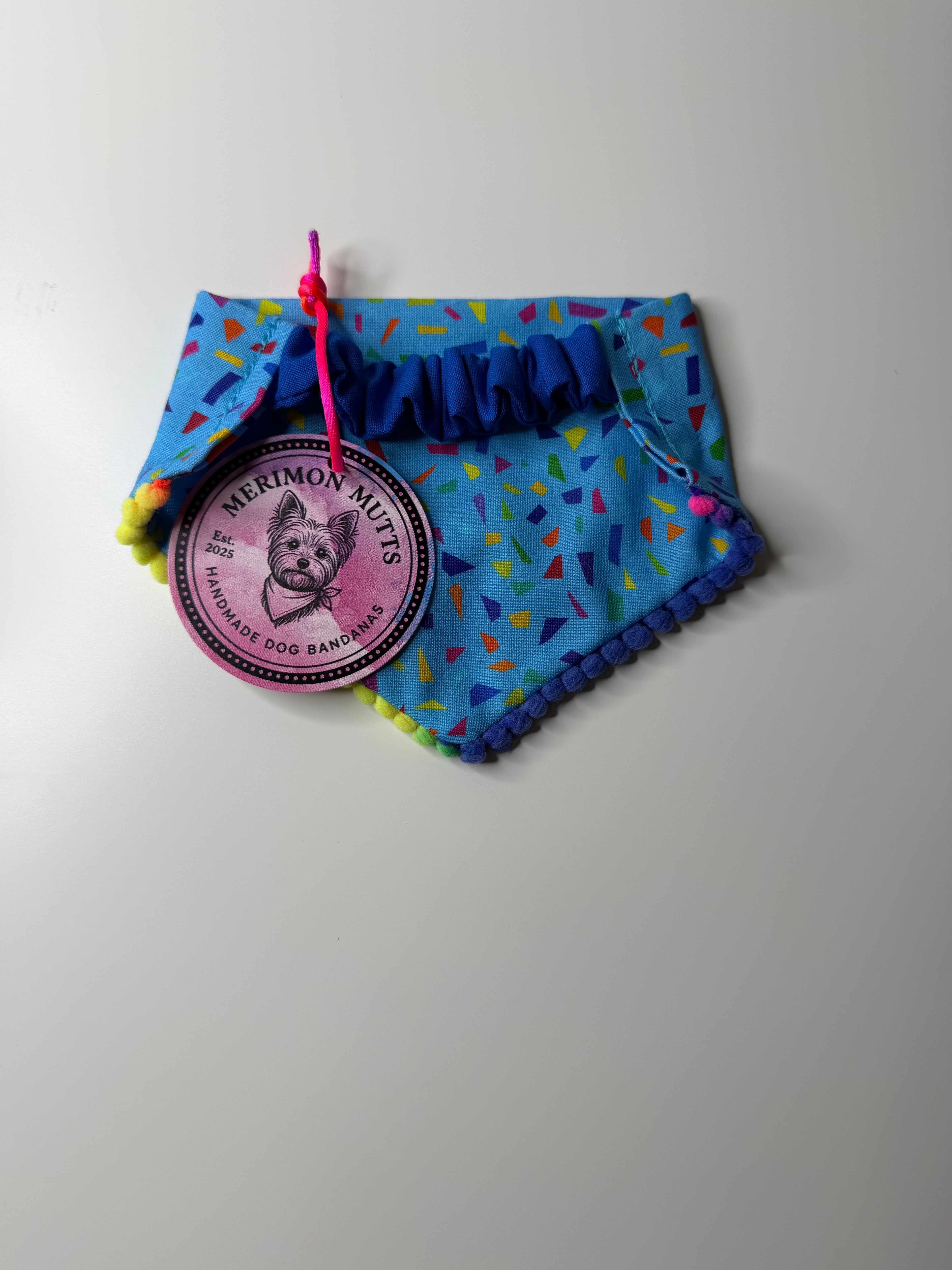 Small Birthday Bandana